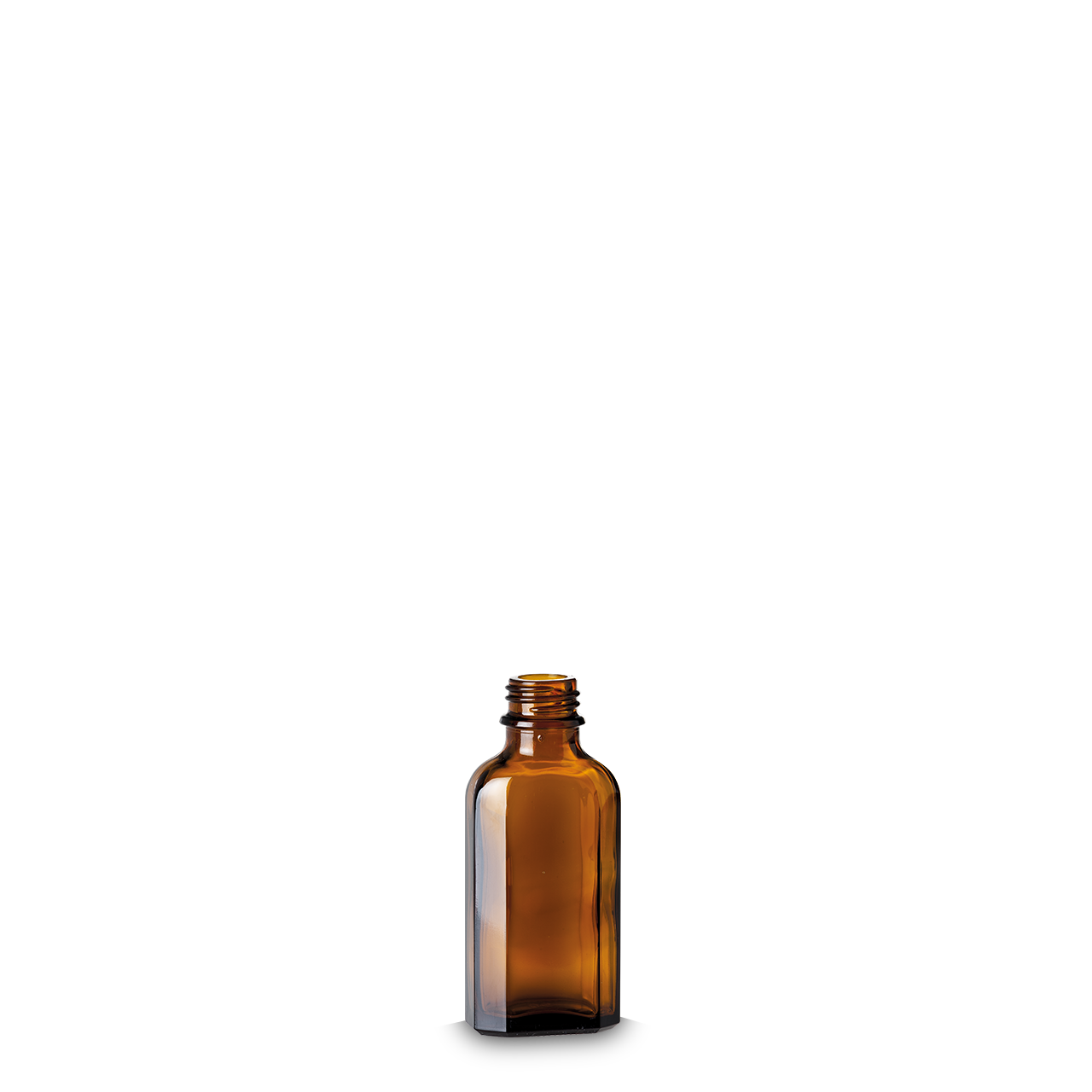 1-0601-0050-22, Rixius