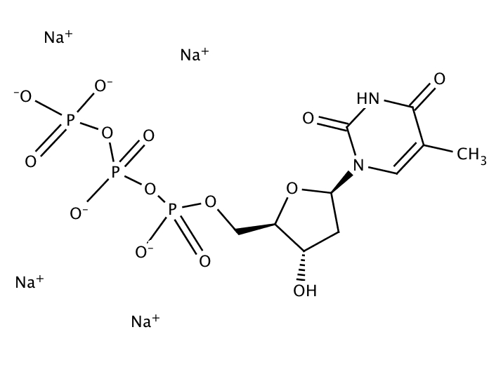 10019137, Molekula