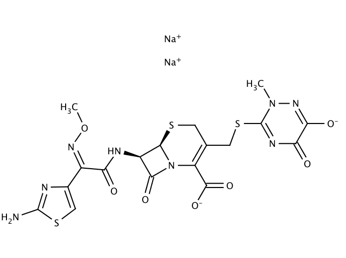 Ceftriaxone sodium salt [104376-79-6]