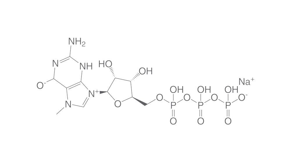 7-Methylguanosine 5'-triphosphate sodium, 25 mg