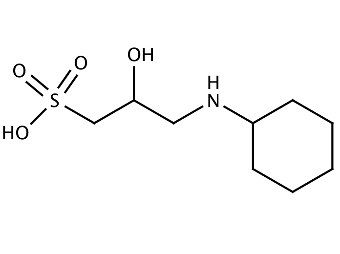 11091556, Molekula