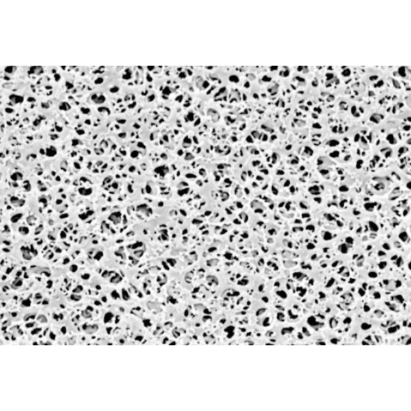 11106--50------N, Omnilab