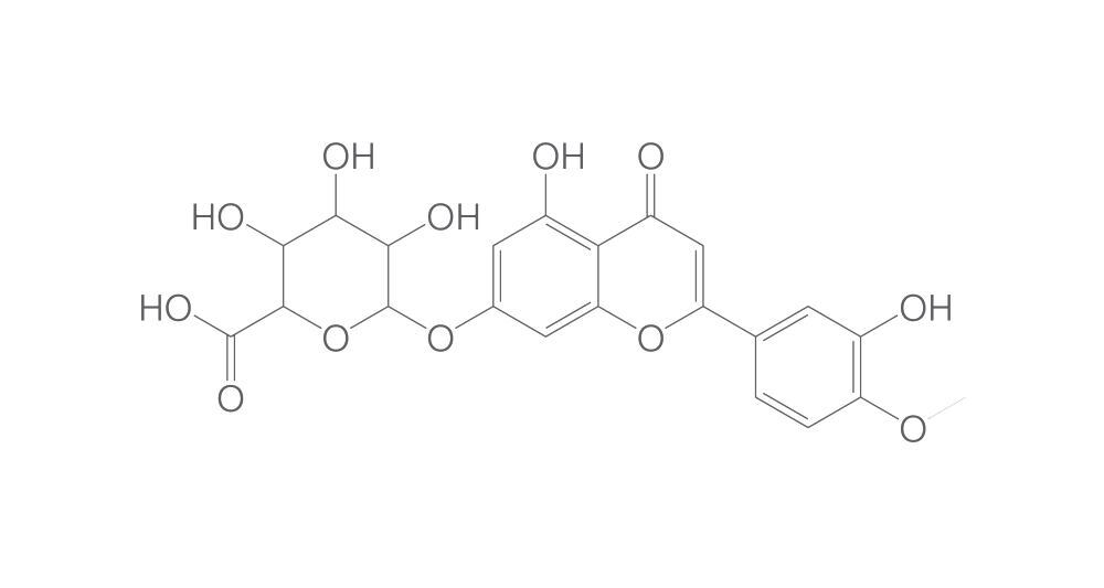 Hesperetin 7-O-b-D-glucuronide, 25 mg