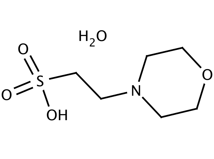12705461, Molekula