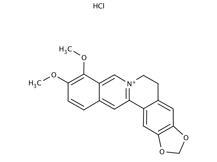 13172687, Molekula