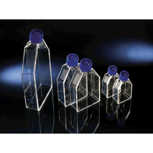 Tissue Culture Bottles