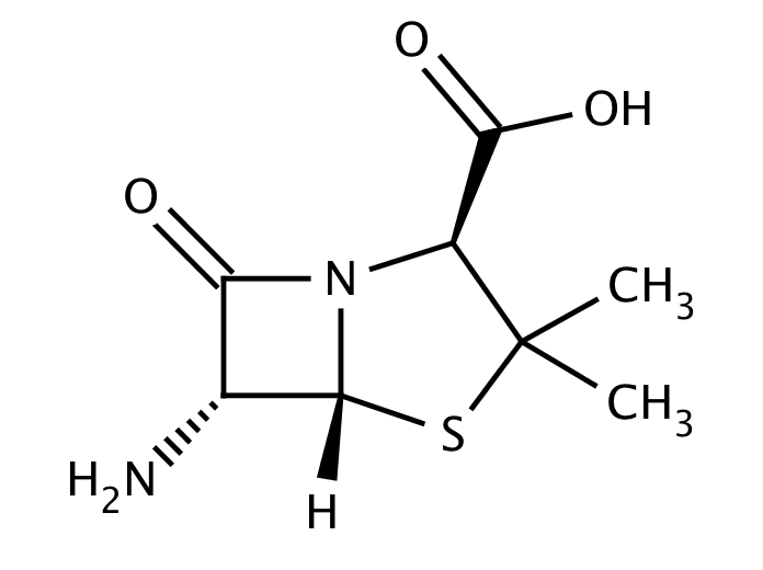 6-Aminopenicillanic acid [551-16-6]