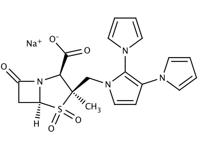 13649308, Molekula