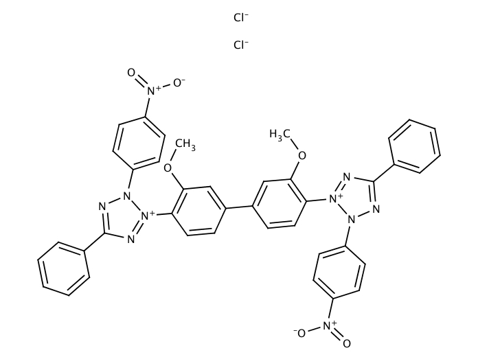 13727374, Molekula