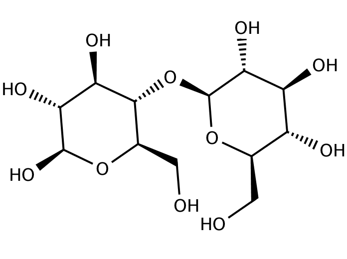 13810609, Molekula