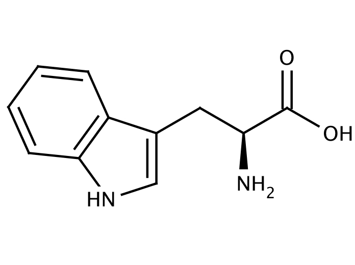 13831082, Molekula