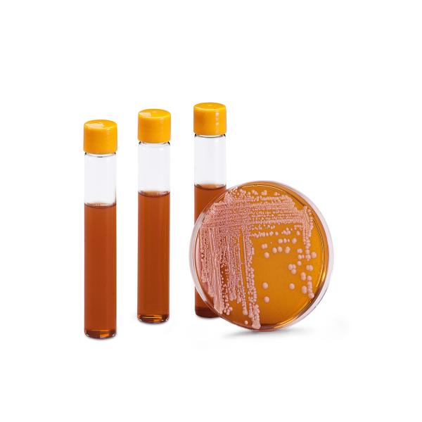 14130----------K, Omnilab