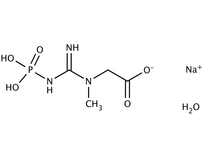 14577248, Molekula