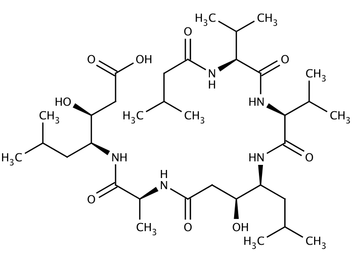 14581189, Molekula