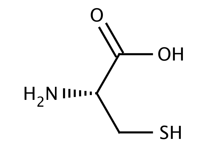 15386031, Molekula