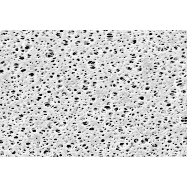 15406--50------N, Omnilab