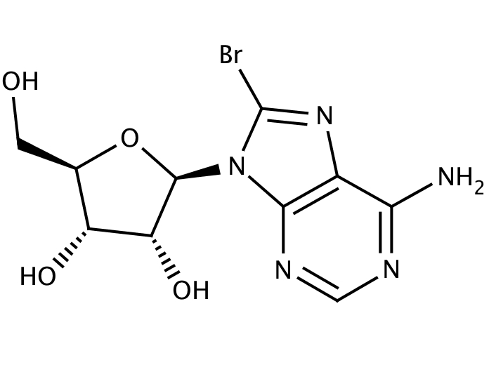 15591729, Molekula