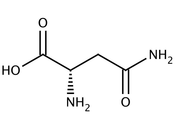 15650008, Molekula