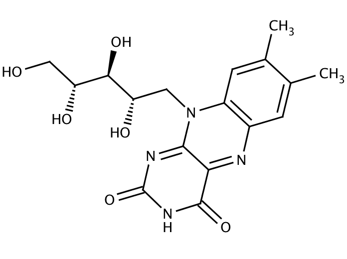 15667878, Molekula