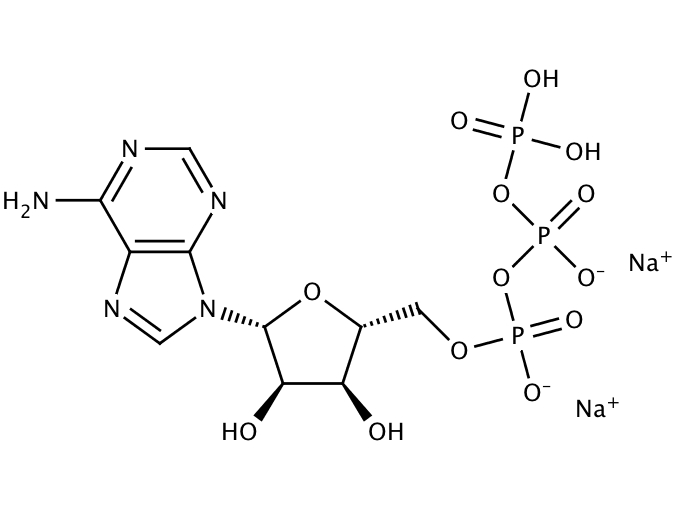 16368689, Molekula