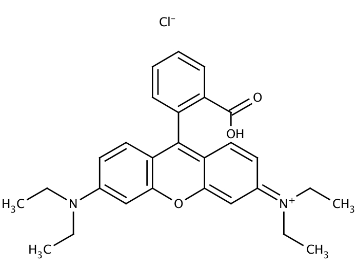 16917624, Molekula