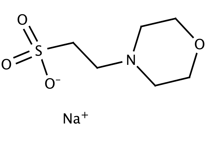 17253441, Molekula