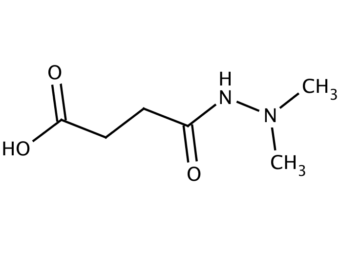 17303376, Molekula