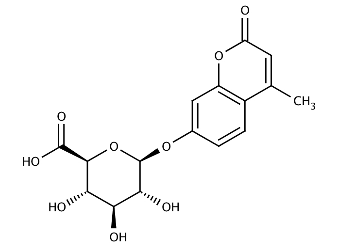 17491699, Molekula