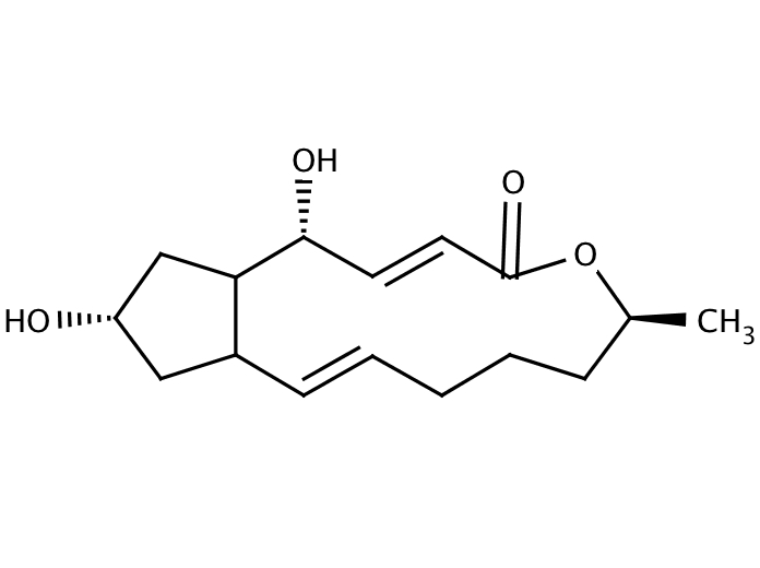 17689223, Molekula