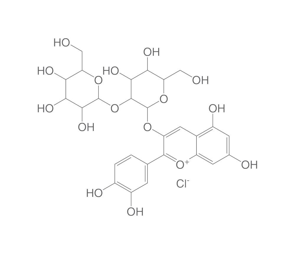 Cyanidin 3-sophoroside chloride, 5 mg