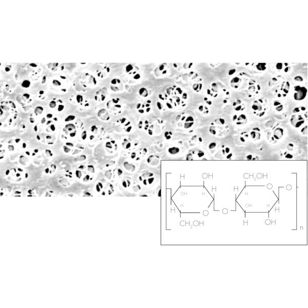 18407--50------N, Sartorius
