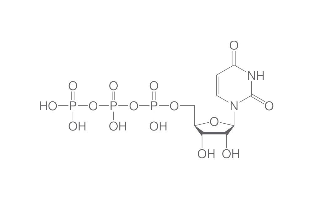 NTP Lyophilisates