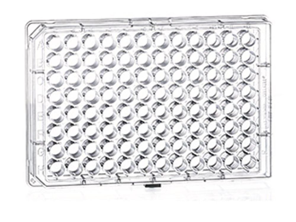 1A70.1, Greiner Bio-One