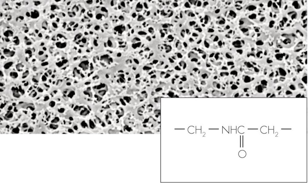 1C0X.1, Sartorius