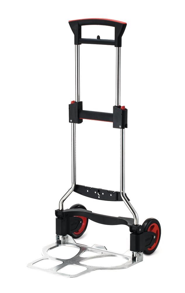 1C3H.1, Roth Selection