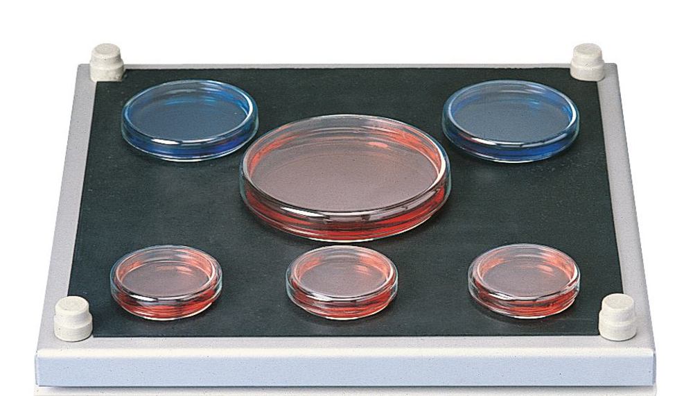 Standard version shakers