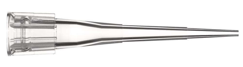 1EK4.1, Roth Selection