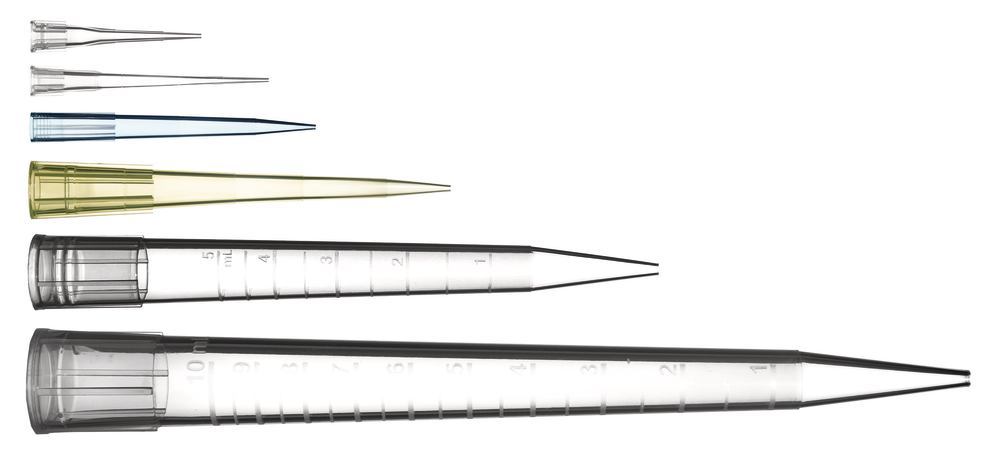 1EKL.2, Roth Selection