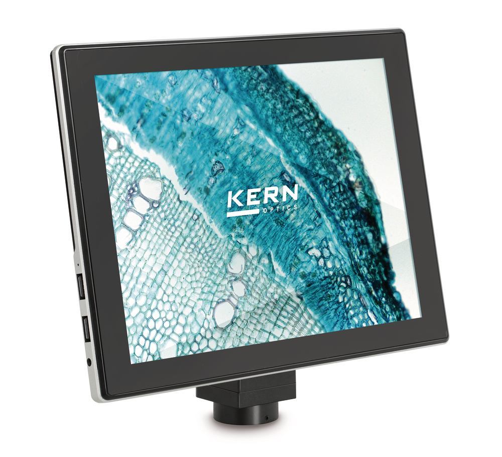 1LEP.1, Kern