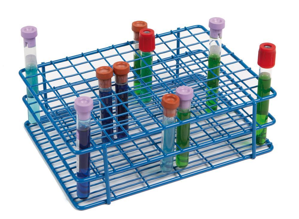 1LHX.1, Roth Selection