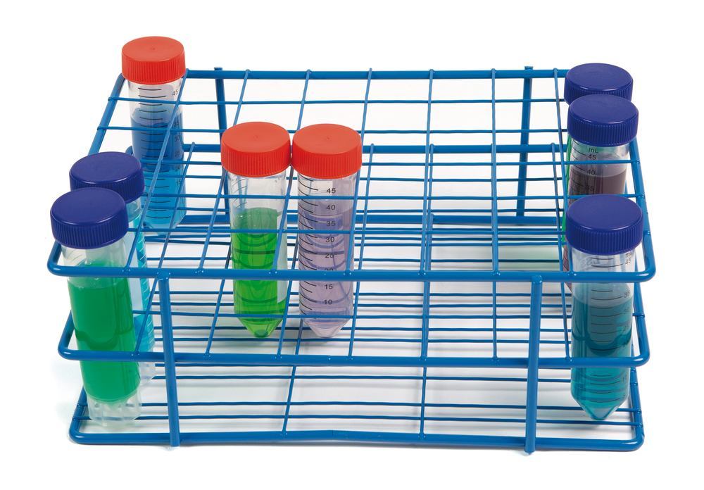 1LK9.1, Roth Selection