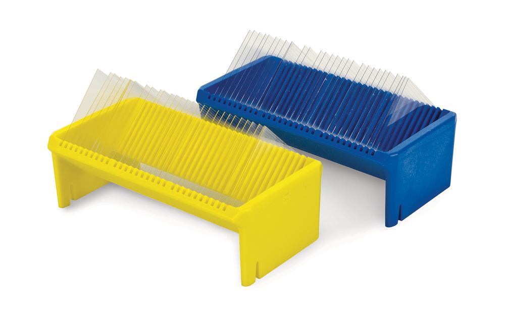 1N49.1, Roth Selection