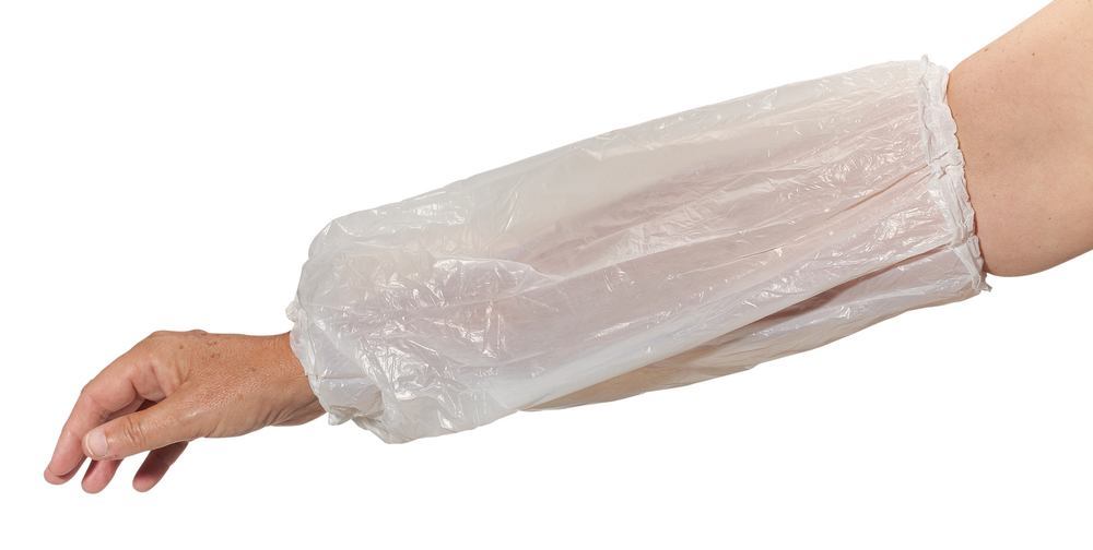 1PP5.1, Bodyproducts