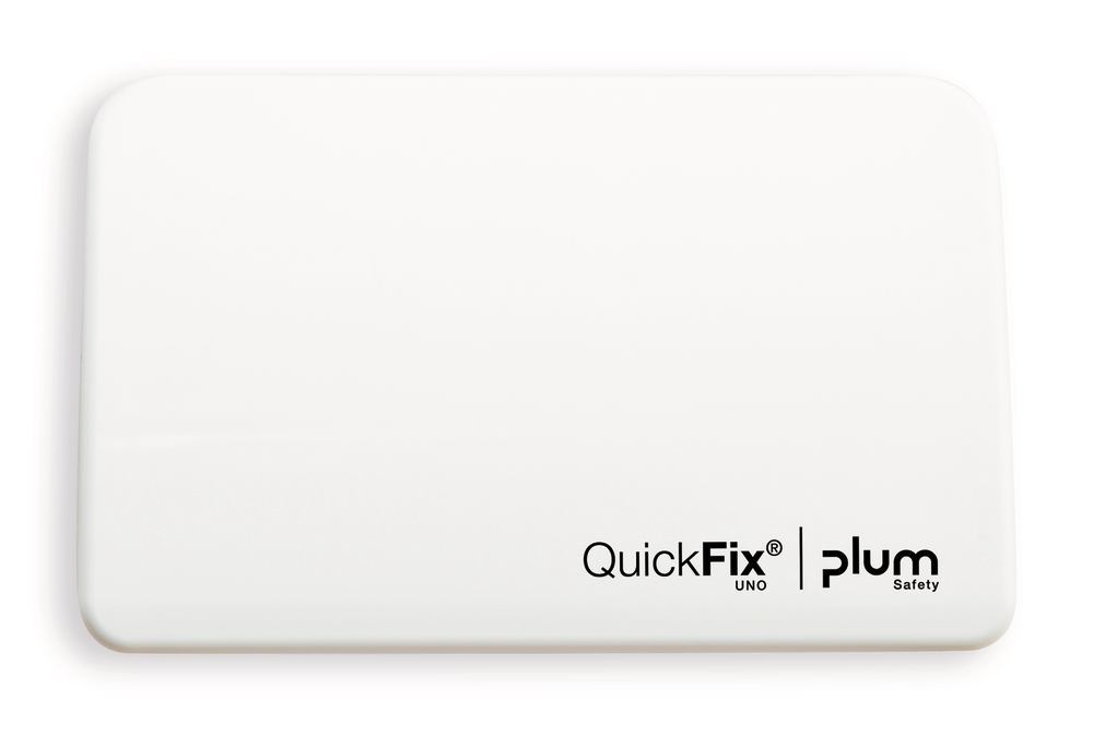 1T7E.1, Plum