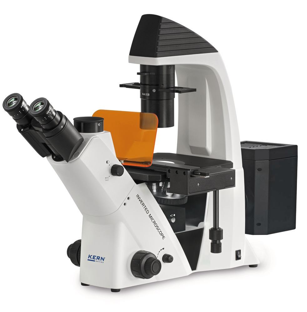Fluorescence microscopes