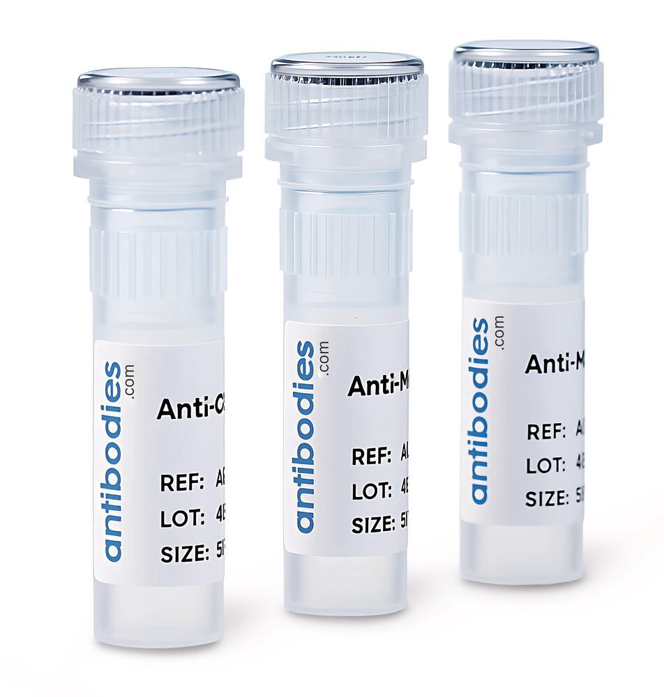1WMH.1, Antibodies.Com