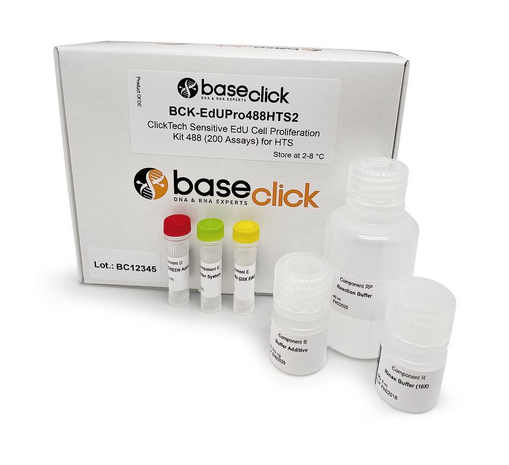 1Y5T.1, Baseclick