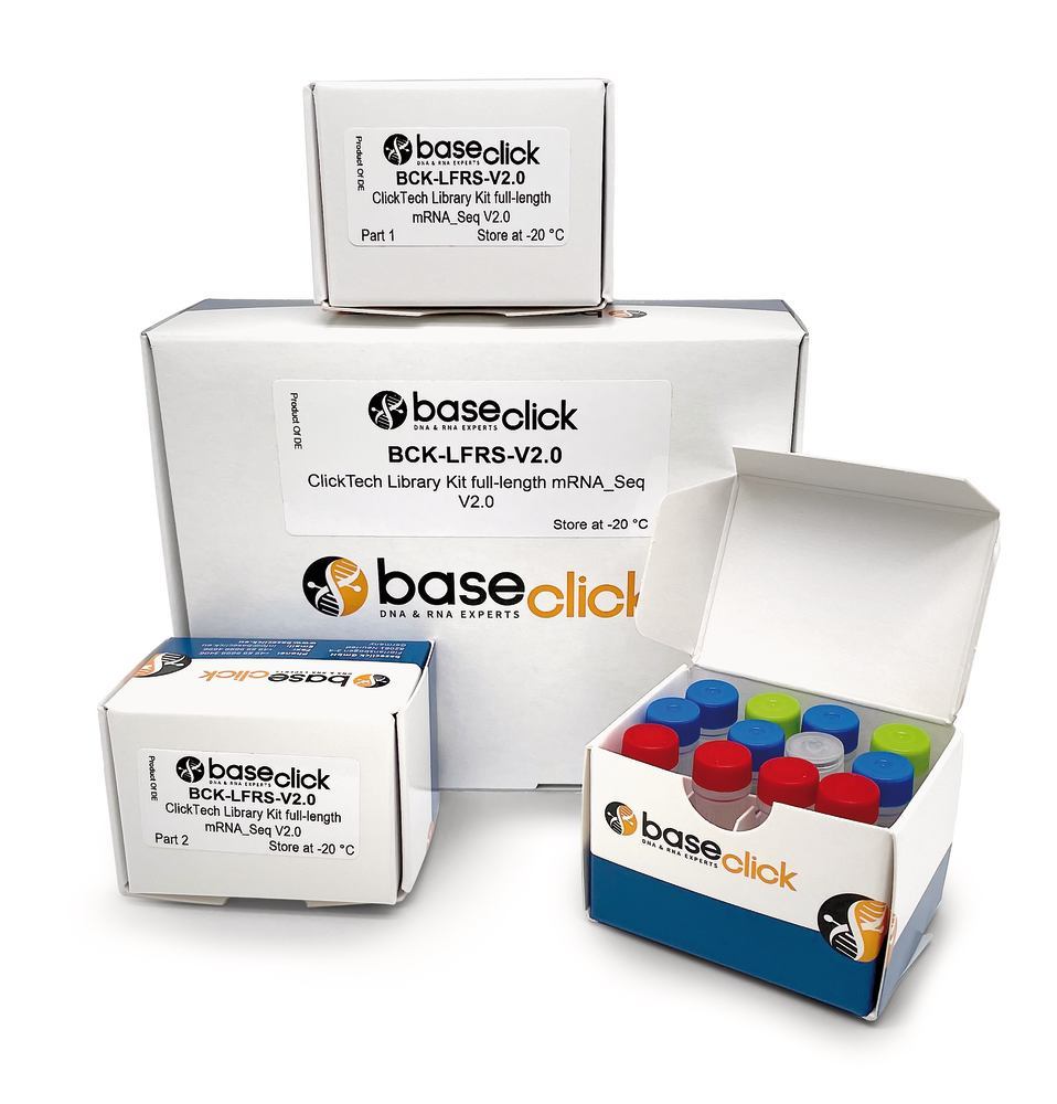 1Y69.1, Baseclick