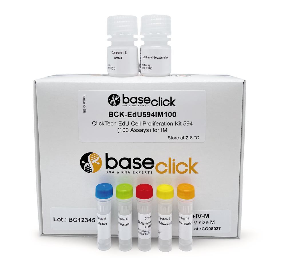 1Y6N.2, Baseclick
