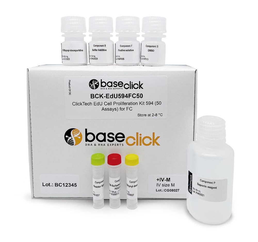 1Y6Y.3, Baseclick